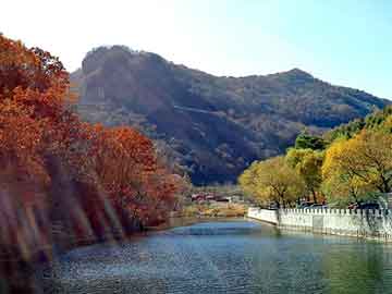 管家婆黑白马报图库，水城seo程序